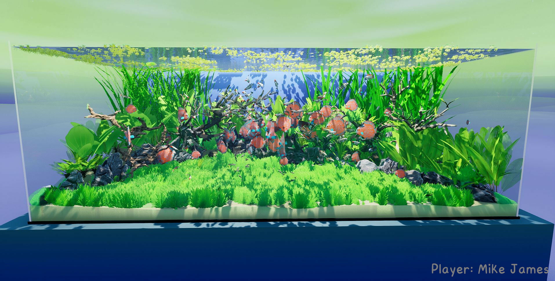 《养鱼模拟器》v00.03.24中文版-趣奇资源网-第7张图片