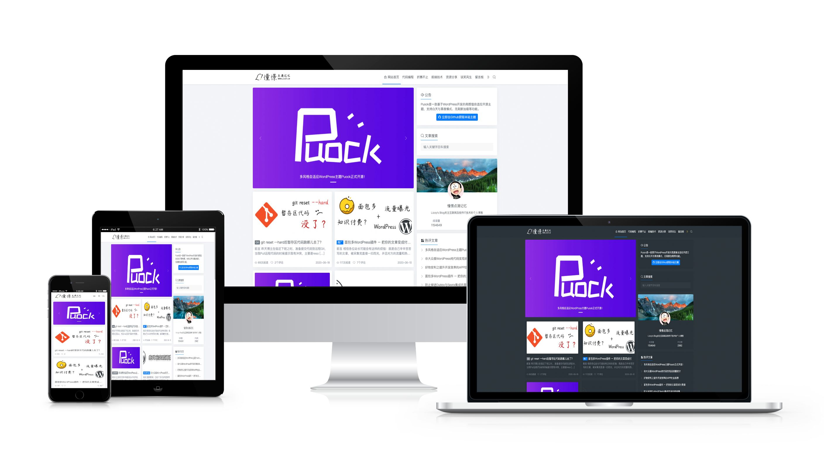 一款基于WordPress开发的高颜值的自适应主题，支持白天与黑夜模式v2.8.2-神游资源网