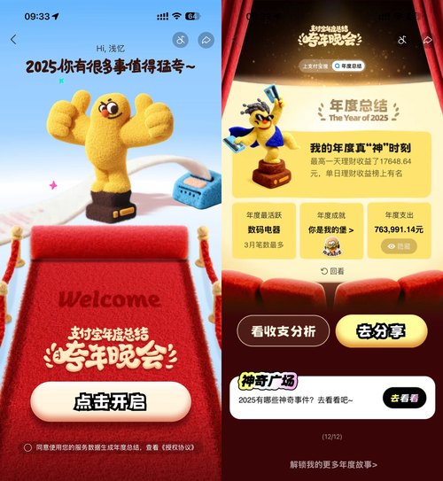 支付宝查看2025年的年度报告-神游资源网