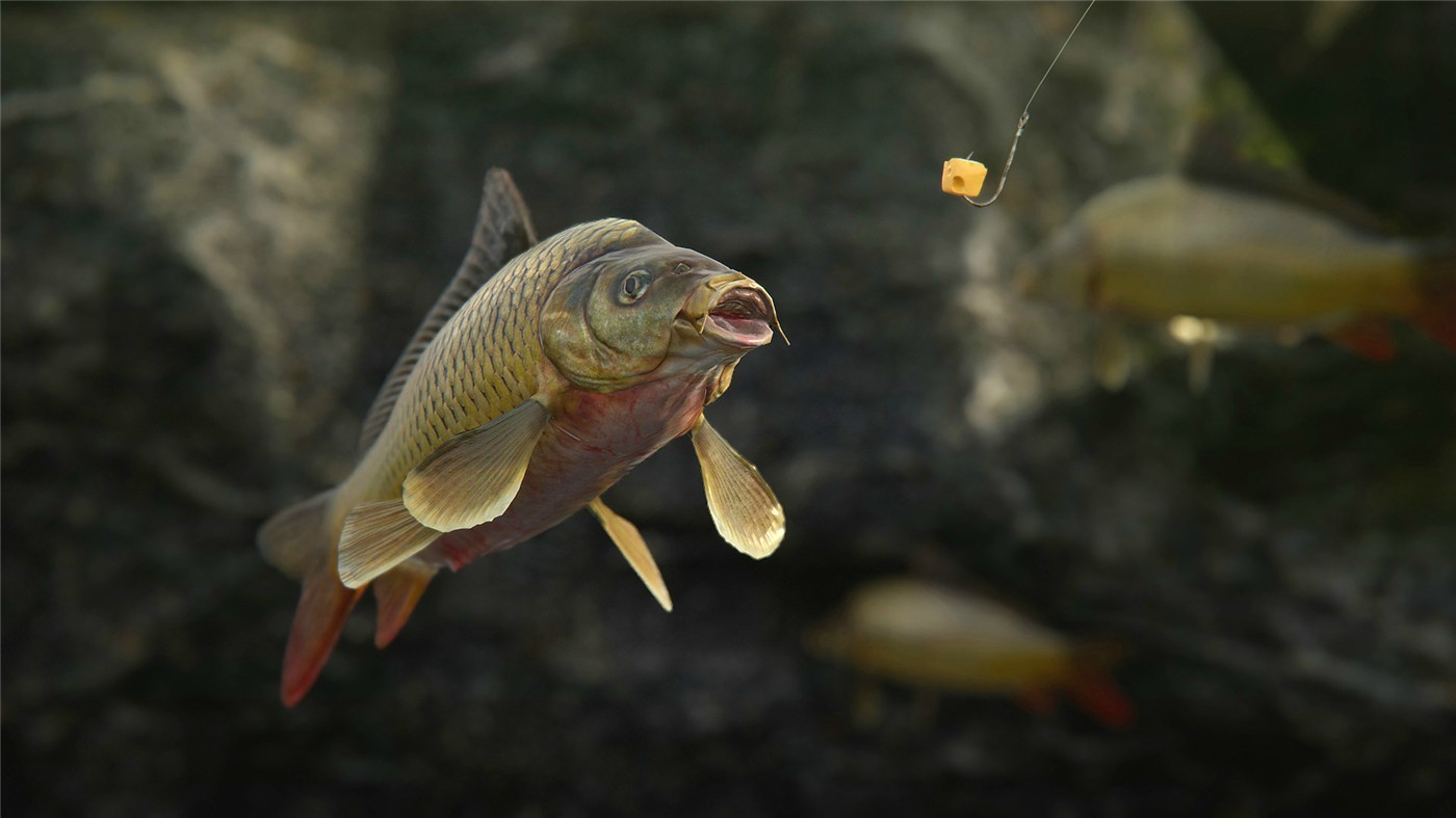 《人渣》v1.1.0.2.99989中文版-神游资源网