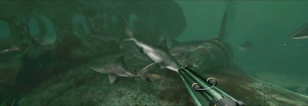 【端游推荐】死在水中2-神游资源网