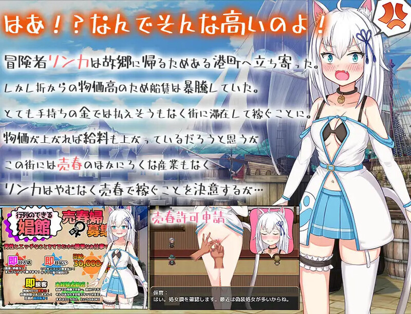 [日式SLG/汉化] 赚钱吧!猫耳娘～异世界卖春SLG～ 稼げ猫耳娘 ～異世界売春SLG～ AI汉化版+全CG存档 [2.40G]