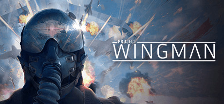 Project Wingman 僚机计划 v2.0.11.b23中文版