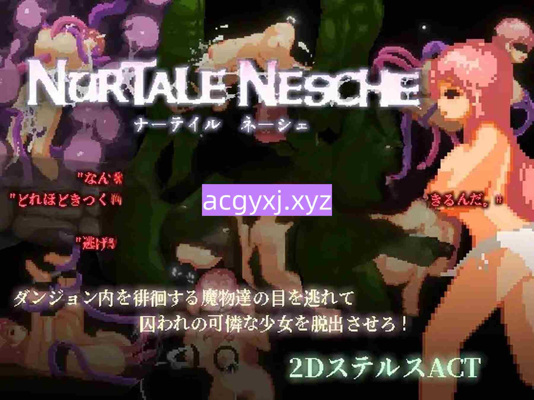 图片[1]-更新[日式ACT] 努尔塔莱·内舍 nurtale nesche v1.0.4.22 官方中文步兵版 [1.50G]