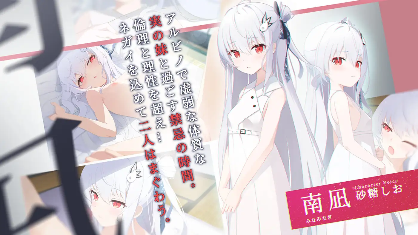 图片[1]-更新[日式ADV] 只愿 カタネガイ Ver1.03  精翻汉化版 步兵版+全CG存档 [PC+安卓4.40G]