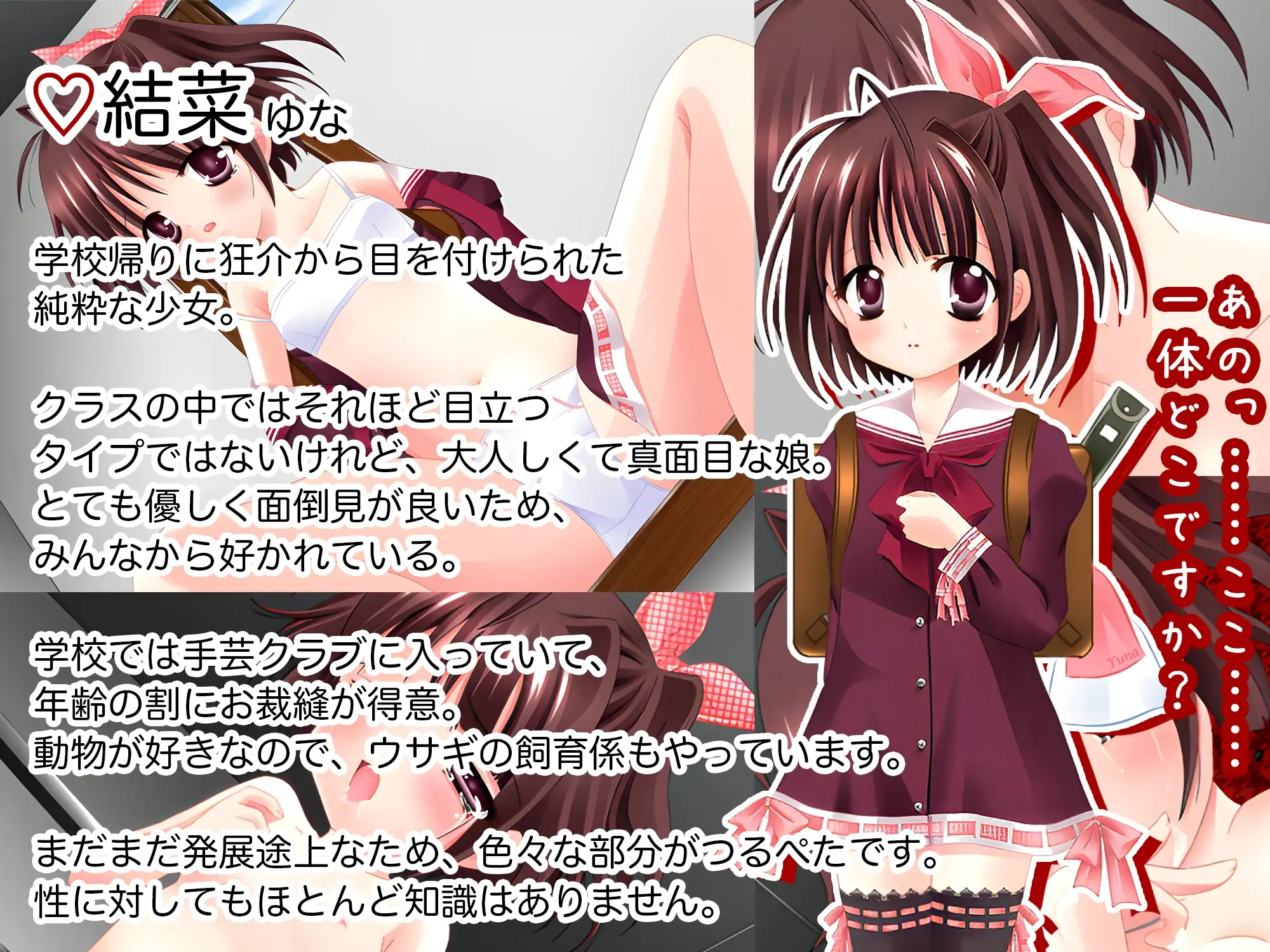 图片[1]-新作[日式RPG/萝莉/背德] 普罗拉奇主义者狂介R〜蕾悦地下室七日间〜 プロラチリスト狂介R〜蕾悦地下室七日間〜 AI汉化版 [1.70G]