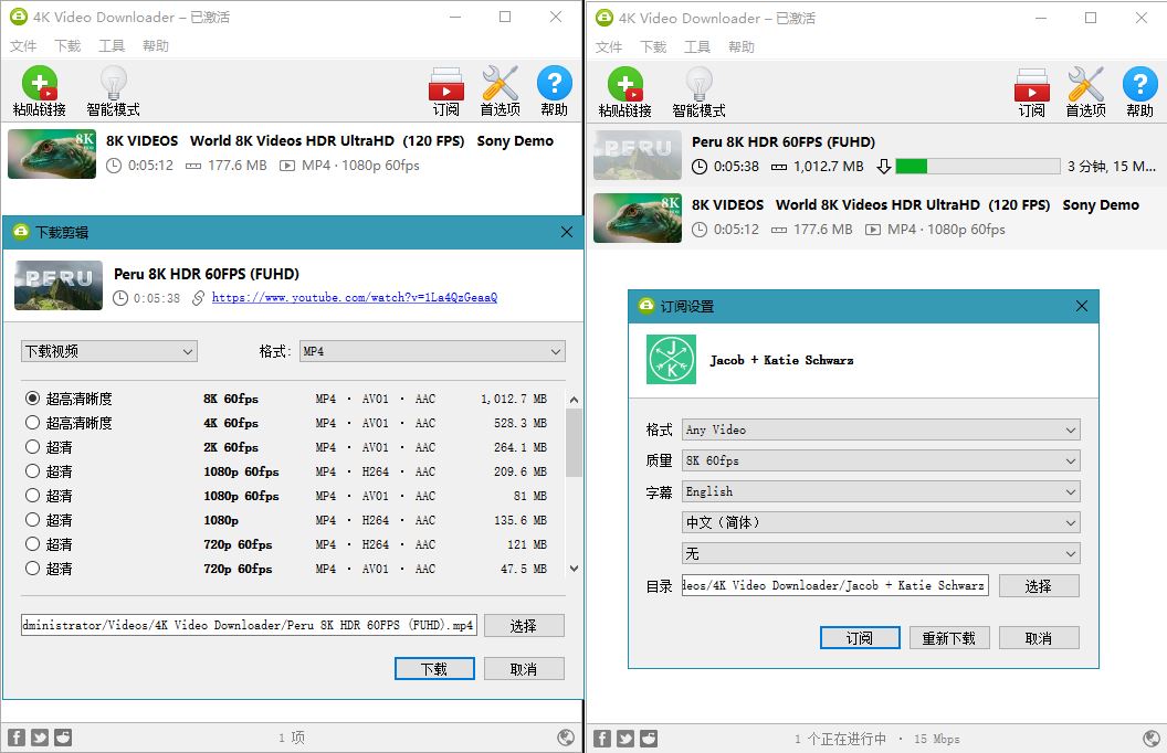 视频下载器4K Video Downloader v26.0.7.0293-神游资源网