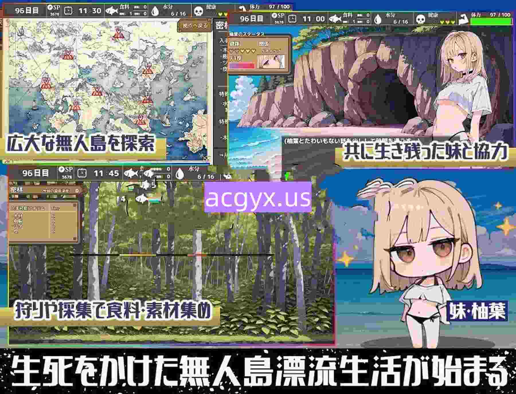 图片[2]-新作[探索RPG/巨乳爆乳] 无人岛后宫漂流记 無人島ハーレム漂流記 AI汉化版 [1.40G]