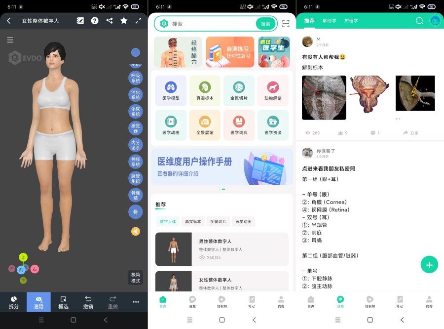 医维度解剖3.3.21一键解刨｜医学知识｜一键脱衣等-神游资源网