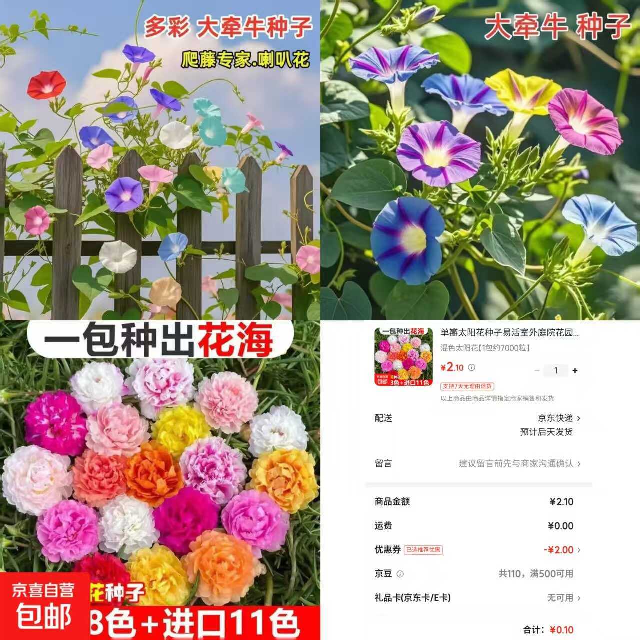 京东0.1太阳花种子约7000粒-神游资源网
