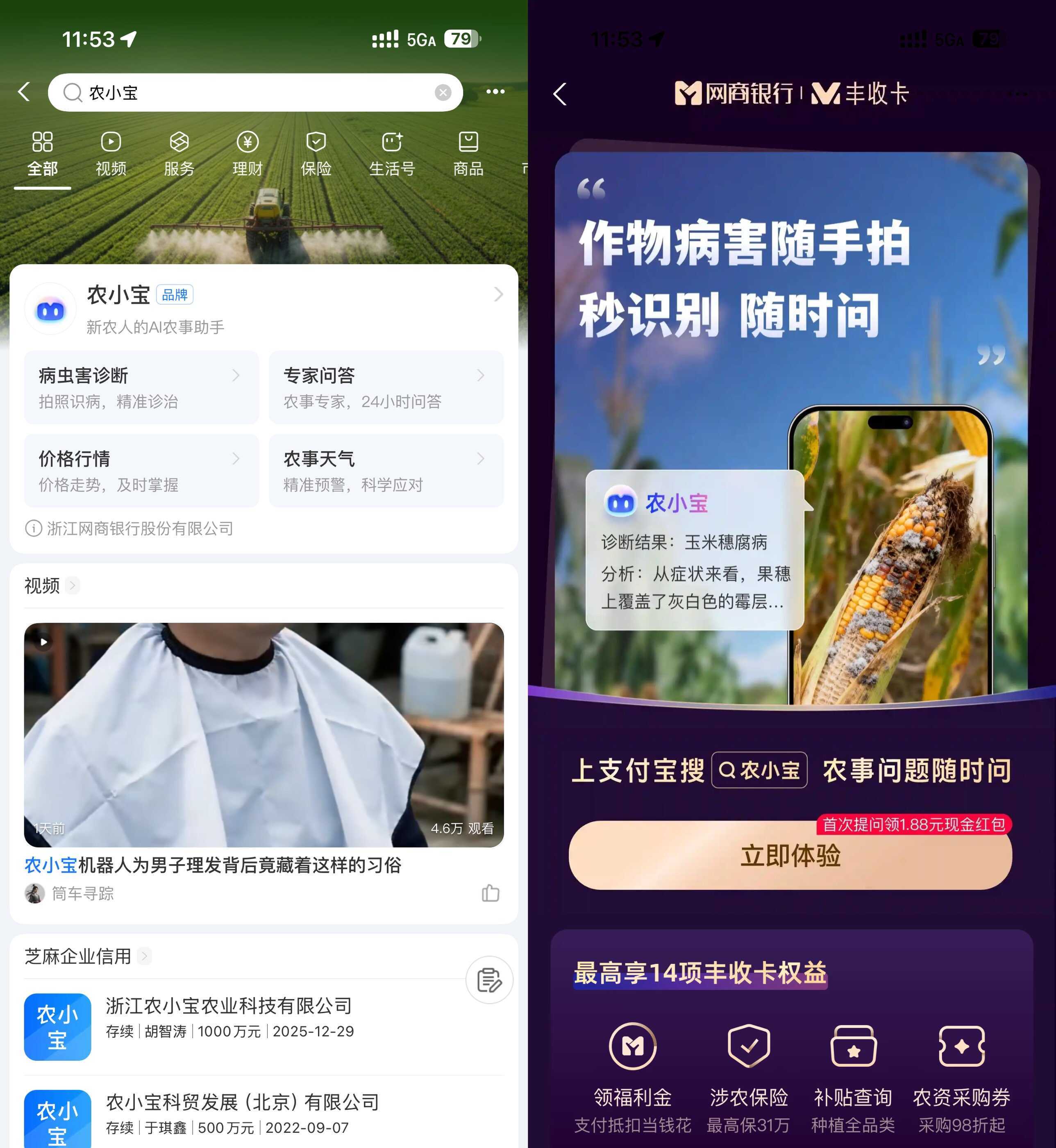 支付宝农小宝首次提问得1.88亓-神游资源网