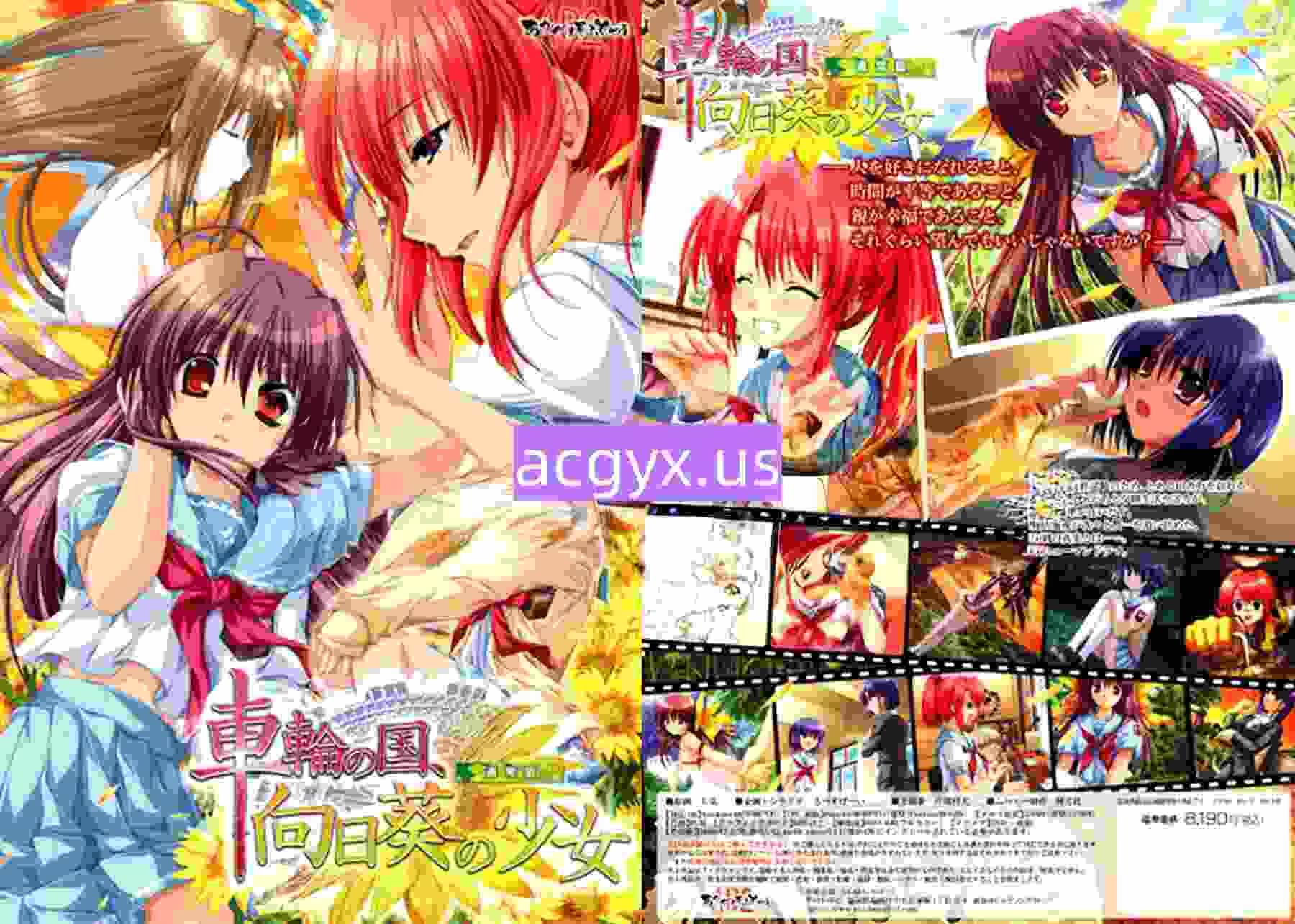 新步兵[日式ADV] 车轮之国，向日葵的少女 車輪の国、向日葵の少女 AI汉化版 去码版+全CG存档 [1.40G]-神游资源网