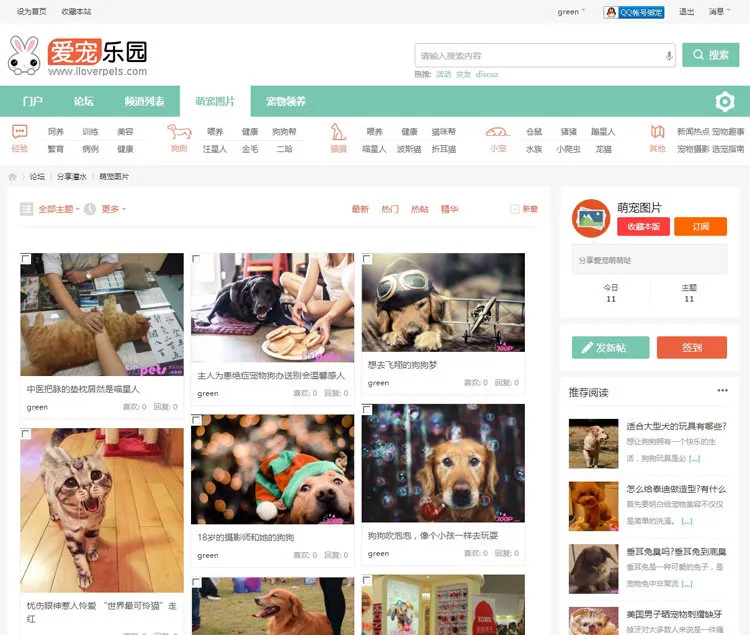 discuz 迪恩宠物社区模板 宠物论坛网站源码