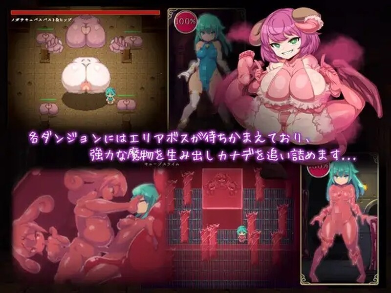图片[1]-[日式ACT] 魔导士小奏的扶她地牢探险 魔導士カナデのふたなりダンジョンQuest  官中步兵版+全回想存档 [PC+安卓2.20G]