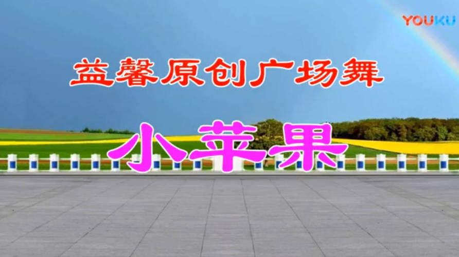 精选高清广场舞视频教学合集500首-神游资源网