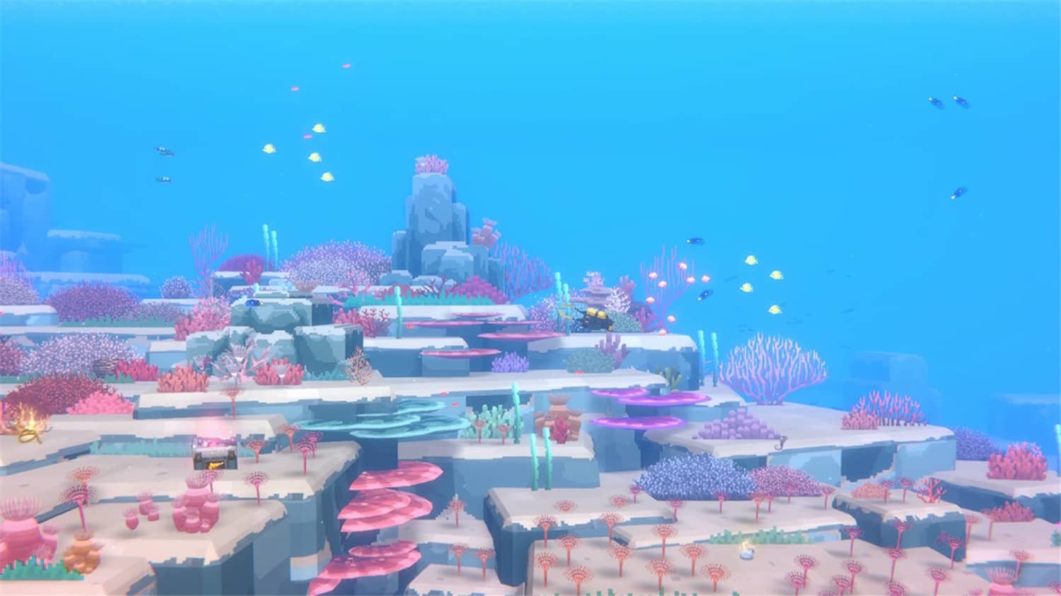 《潜水员戴夫》v1.0.5.1679中文版-趣奇资源网-第9张图片