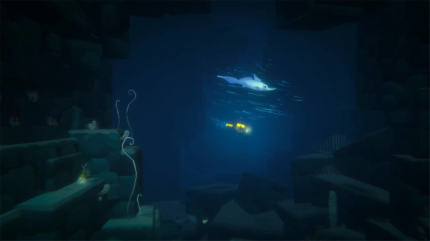 《潜水员戴夫》v1.0.5.1679中文版-趣奇资源网-第8张图片