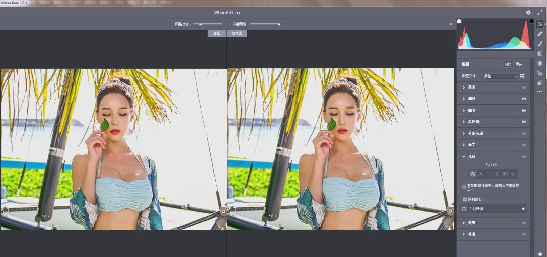 RAW处理Adobe Camera Raw v18.4.0中文版-神游资源网