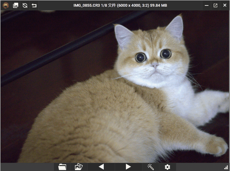 PicView看图工具v4.2.0绿色版-神游资源网