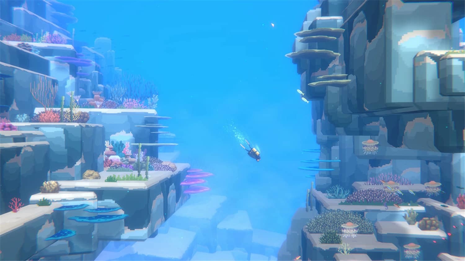 《潜水员戴夫》v1.0.5.1679中文版-神游资源网