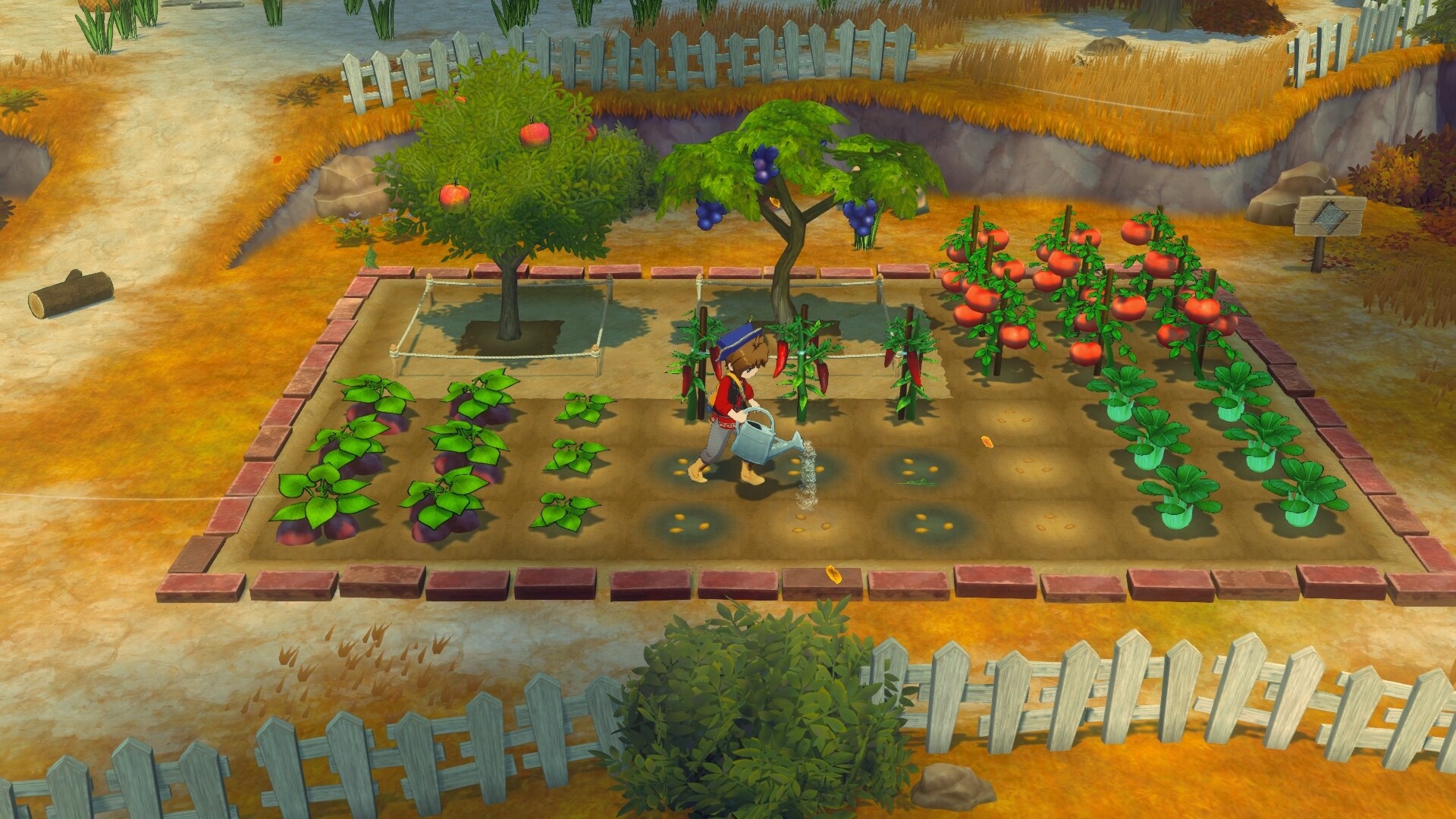 《牧场物语 来吧！风之繁华集市》v1.0.4中文版-神游资源网