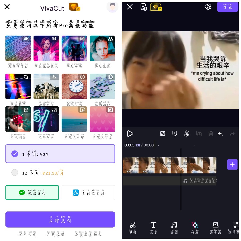 VivaCut视频剪辑v3.9.9会员版  一款专业的视频编辑器-神游资源网