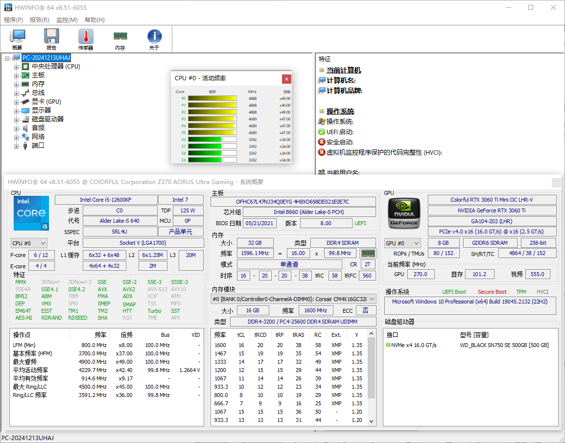 HWiNFO(专业系统信息检测工具) Pro v8.55.6100 多语便携版-神游资源网